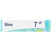 Silicea 7Ch Gl 4 g Globuli