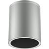 Applique da soffitto Cilindrica PAR30 IP54 in Alluminio e Vetro - Grigia