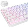 SOLIDEE White Pudding Keycaps,Doubleshot PBT Pudding Keycap Set con strato traslucido,117 Tasti Set Profilo XDA|Per Layout ISO&ANSI 61/68/84/87/104 Tasti|Per Tastiera Meccanica(White Pudding)
