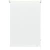 GARDINIA Tenda a rullo con catenella laterale, Installazione a parete, soffitto o nicchia, Trasparente, Opaca, Kit di montaggio incluso, Bianco, 52 x 180 cm (LxA)