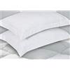 ZASH London Oxford - Coppia di federe per cuscini decorativi in morbido cotone tinta unita, tinta unita, colore: bianco