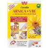 GDP Srl-GENERAL DIETET.PHARMA WINTER CEROTTO ARNICA+VBE ART