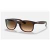 Ray-Ban - RB4202-607313 - OCCHIALE SOLE RAY-BAN RB4202-607313 CAL.55 ANDY