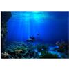 Garosa Sfondo, Subacqueo Marino Adesivo Poster per Acquario Domestico