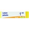 BOIRON Srl LEDUM PALUSTRE BOI*1MK GL 1G
