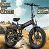 ENGWE EP-2 Boost E-bike 250W motore 48 v13ah batteria bici elettrica freno a disco 20*4.0 pollici grasso pneumatico adulto bicicletta elettrica pieghevole - Black