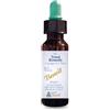ALCHIMIA BENOIT Srl TRUST REMEDY 10ML