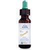 ALCHIMIA BENOIT Srl Benoit Trust Remedy Essenze Floreali 10ml