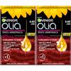 Garnier Olia Tinta Capelli Permanente Senza Ammoniaca Colorazione con Oli di Fiori di Origine Naturale ad Azione Illuminante e Nutriente Colore 6.60 Rosso Intenso - 2 Confezioni