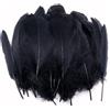 pangutheos 250pcs Piume Decorative Piume Naturali Colorate Piume Nere per Fai da Te per Orecchini Matrimoni acchiappasogni Casa Feste Carnevale per Copricapo Artigianato Costum Natale Pasquale