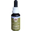 Australian Bush Flowers Caregiver - Essenze floreali per la stanchezza da accudimento, 30 ml