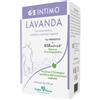 GSE INTIMO LAVANDA 4FL