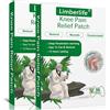 Limberlife Cerotti Antidolorifici per il Ginocchio, 60 Pezzi di Cerotti Antidolorifici all'assenzio, Fasce riscaldanti a Calore Terapeutico per Dolori di Collo, Spalla, Polso