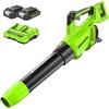 Greenworks 48V (2 x 24V) Soffiatore Cordless, Velocità dell'aria 193 KM/H, Volume dell'aria 900 M³/H, Velocità Variabile (con 2 x 2 Ah Batterie e Caricatore)