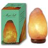 LAMARE Lampada di sale dell'Himalaya 2-3 kg con dimmer e lampadina a LED - Magic Salt® Lighting For Your Soul