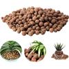 Cerioll Ciottoli Di Argilla, Ciottoli Di Argilla Per Piante, Clay Pebbles, Pezzatura 5-8mm, 1L, Per Drenaggio, Decorazione, Acquaponica, Coltura Idroponica E Pittura Da Giardinaggio