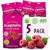 SUMMMER Lamponi Liofilizzati - Confezione da 5 - Deliziosi Snack di Frutta 100% Naturali, Croccanti e Sani, Senza Zuccheri Aggiunti, Perfetti come Spuntino da Portare con Sé o per Dolci, Frullati, Yog