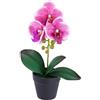 Flair Flower Orchidea artificiale Phalaenopsis in vaso, 30 cm, fiori realistici, esotici, fiori artificiali, orchidea artificiale, decorazione per la casa, matrimonio, facile da pulire