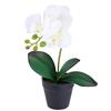 Flair Flower Orchidea artificiale Phalaenopsis in vaso, 30 cm, fiori realistici, esotici, fiori artificiali, orchidea artificiale, decorazione per la casa, matrimonio, facile da pulire