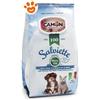 Camon Dog & Cat Salviette Romantic Wood - Confezione Da 100 Salviette