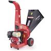 Biotrituratore Ceccato Big GX 390