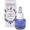 HP ITALIA Srl LAVANDA PROVENZA ESSENZA AROM 15ML