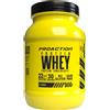 Proaction Protein Whey 900gr