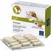 CAMON SpA IMMUN 60 Cpr