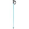 HEAD Bastoni sci Head WC SL Speedblue