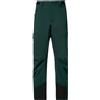 OAKLEY Pantaloni sci Oakley Axis