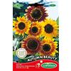 Germisem Autumn Beauty Semi di Girasole 3 g