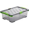 Rotho Evo Total Protection Scatola con Coperchio, Plastica (PP) senza BPA, Grigio (Antracite)/Trasparente, 30 L, 59.0 x 39.5 x 18.5 cm