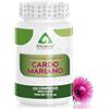 ALTRANIX Nutrition Cardo Mariano Fegato - 120 Compresse Vegane con l'80% in Silimarina - Supporto Naturale per Fegato e Digestione - Made in Italy