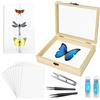 Asablve Kit di strumenti per la realizzazione di esemplari di insetti (spille, scatola delle ombre, bacheca, carta per pressare le ali, pinzette, forbici) - Espositore per raccolta di esemplari per progetti
