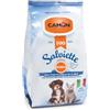CAMON | Salviette Detergenti per Cani e Gatti, 30x17 cm, Confezione da 100 Pezzi, Fragranza Bergamotto, Senza Alcool etilico né Parabeni, Made in Italy