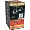 Cesar Dog Terrine Grain Free multipack 24x150 gr - Multigusto - Classic - 1° ORDINE? scegli lo sconto BZR5 / BZR20 + 200 punti fedeltà