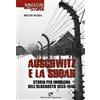Edizioni del Capricorno Auschwitz e la Shoah. Storia per immagini dell'olocausto (1933-1945). Ediz. illustrata