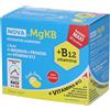 Nova Argentia NOVA.MG+KB12 MAGNESIO E POTASSIO Bustine Sali minerali 150 g Granuli
