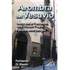 Editrice Domenicana Italiana All'ombra del Vesuvio. Santa Maria Francesca delle Cinque Piaghe, patrona delle famiglie