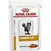 ROYAL CANIN DIETA GATTO UMIDO URINARY S/O BOCCONI IN SALSA 85 G