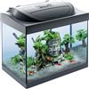 Tetra Acquario in Vetro Starter Line 30 Litri Completo di Luce e Filtro