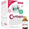 Salugea Cartilagea 18 flaconcini da 12 ml