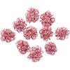 Steingaesser 09308 03 4902 - Fascio di Rafia, 2 mm, 10 Pezzi, Colore: Bordeaux