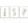 Dazzlewall Stampe da Parete Botaniche Astratte, Quadri Salvia Verde Fiore, Poster Decorazione Murale Linea Minimalista per Camera da Letto Soggiorno 30x40 cm Senza Cornice Set di 3
