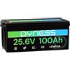 Dyness Batteria Litio LiFePO4 24V 100Ah con 100A BMS e Protezione Bassa Temperatura, Batteria 24V per Fotovoltaico Accumulo, Barche da Pesca Bass, Sistemi di Energia Rinnovabile, Camper (RV), Off-Grid