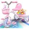 Braxel Triciclo Bambina per 2 3 4 5 Anni, Triciclo Evolutivo da 1 a 5 Anni con Cestello Portaoggetti, Adatto Come Regalo per Bambini, Rosa