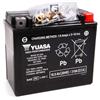 Yuasa YTX20HL 12 V 310 CCA ad alte prestazioni senza manutenzione AGM VRLA batteria per moto, nero