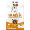IAMS Cibo secco per cani adulti piccola/media con pollo, 5 kg
