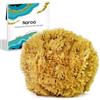 NAROA Spugna Naturale Esfoliante per il Bagno | Luffa di Mare per una Pelle Sana | Vera Spugna da Doccia Non Sbiancata | Ecologica e Senza Plastica (Grande)