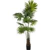 DRW Pianta artificiale palma in PU in verde 20x20x180 cm